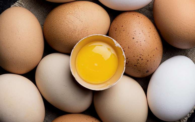 How to choose eggs in the supermarket: learn 3 important steps
