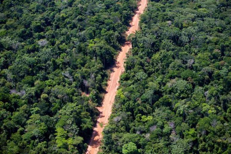 BNDES will adhere to self-regulation against deforestation in the meat chain, says Febraban