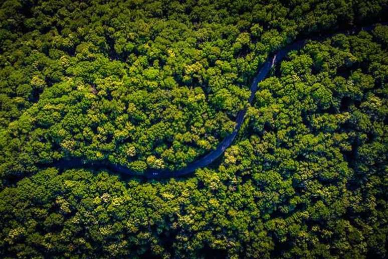 Floresta Amazônica