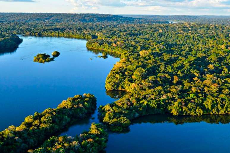 Floresta Amazônica