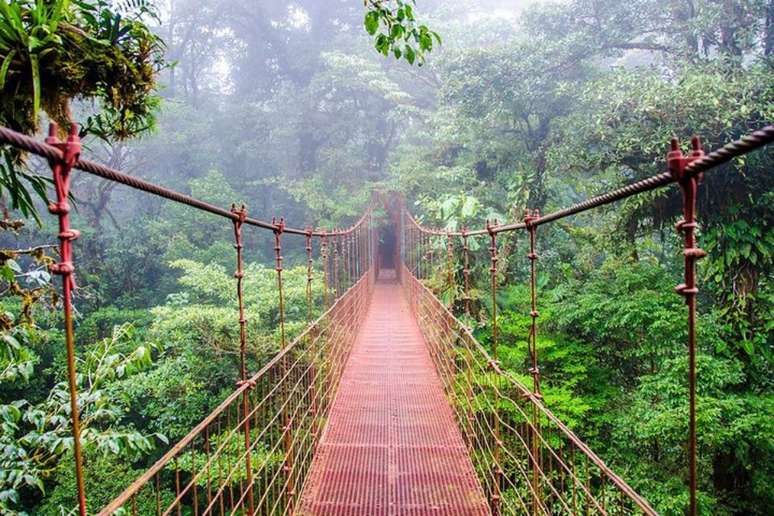 Reserva Florestal Nublada de Monte Verde