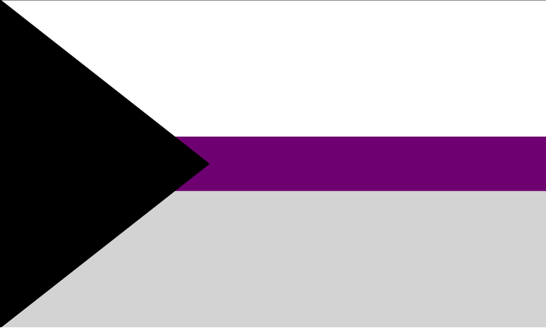 A bandeira demissexual