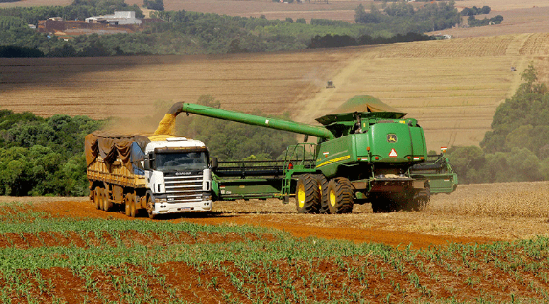 Agropecuária 