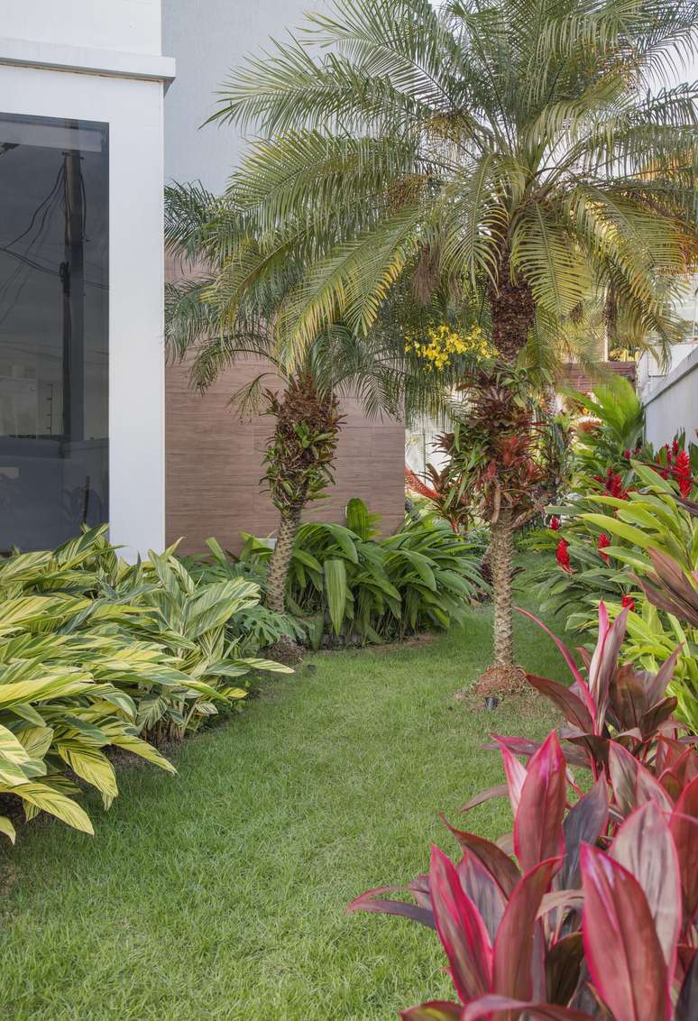 Esp&eacute;cies na foto: Gengibre concha variegato; Costela de Ad&atilde;o; Curculigo; Brom&eacute;lias Neoregelias; Orqu&iacute;dea Chuva de ouro; Palmeira F&ecirc;nix; Alp&iacute;nia vermelha; Cordyline; Grama esmeralda