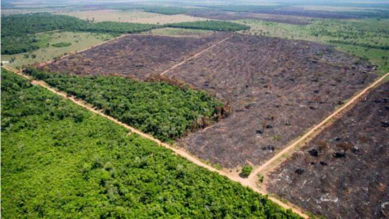 Ações cobram pagamento de multas ambientais e pedem indenização por danos ambientais.