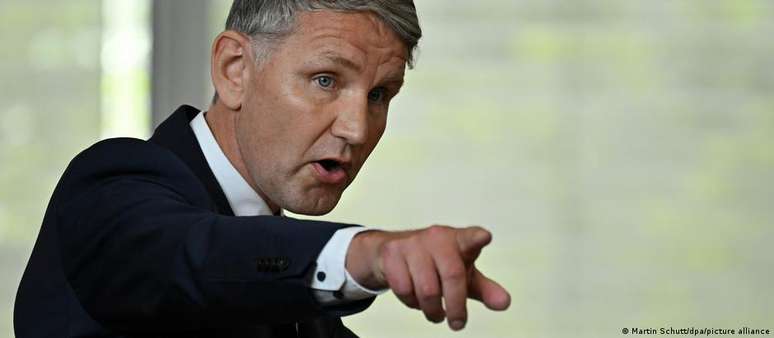 H&ouml;cke, um ex-professor de hist&oacute;ria, defende a remo&ccedil;&atilde;o do c&oacute;digo penal alem&atilde;o de artigos que criminalizam a incita&ccedil;&atilde;o ao &oacute;dio racial e a nega&ccedil;&atilde;o do Holocausto