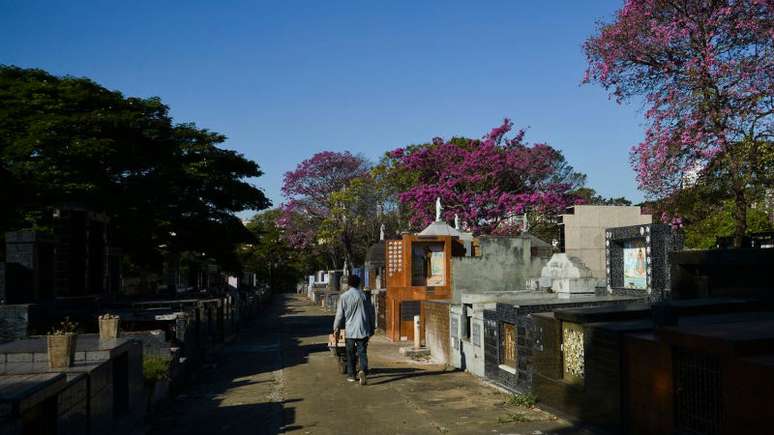 Imagem mostra homem de costas caminhando em cemitério.