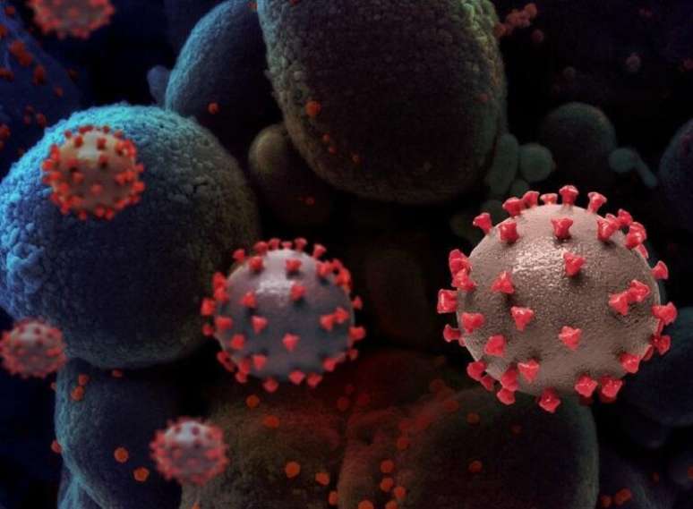 Dealing with the virus and the loss of life