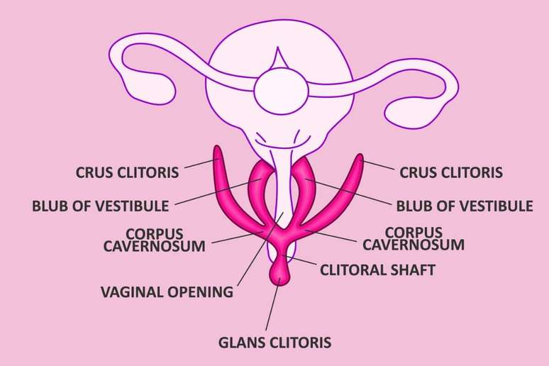 Ponto G &eacute; composto por cinco &aacute;reas er&oacute;genas 