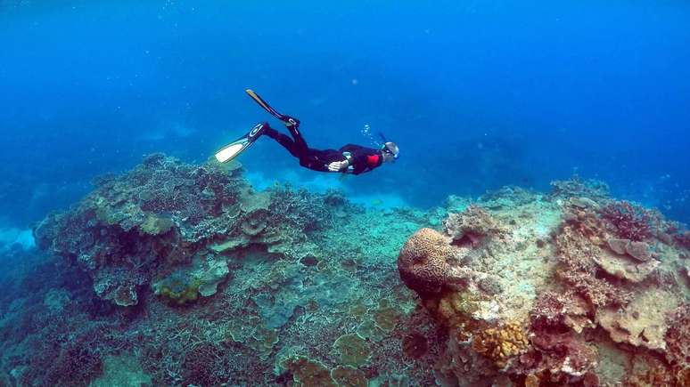 Mergulhador perto da ilha Lady Elliot, na Grande Barreira de Corais, na Austrália