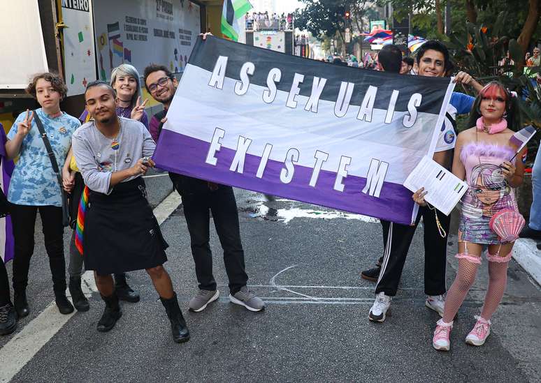 Assexuais marcaram presença na 27ª Parada do Orgulho LGBT+