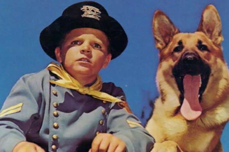 Rin Tin Tin was successful in the 1920s Rin Tin Tin was successful in the 1920s