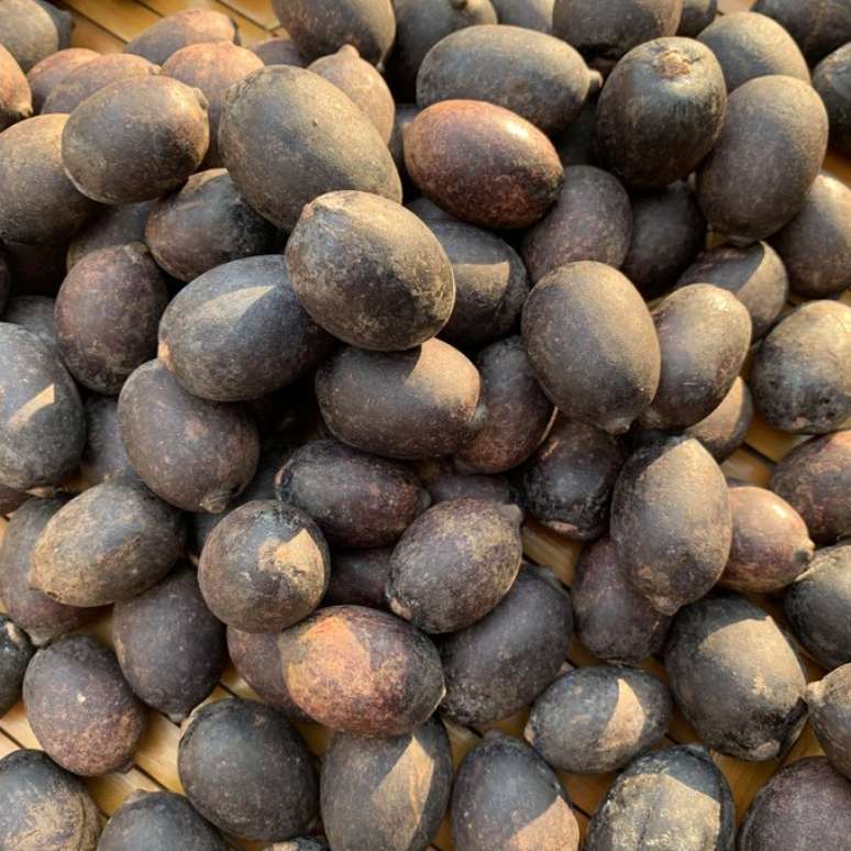 Milpesos (Oenocarpus batatua) &eacute; uma das frutas que foi essencial para a sobreviv&ecirc;ncia das crian&ccedil;as