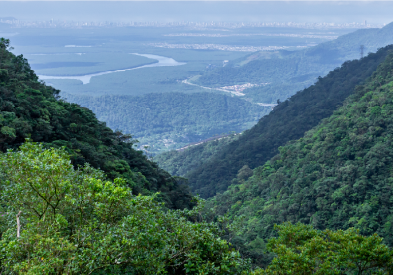 O visual do alto da tirolesa que se revelou depois