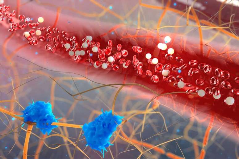 Excesso de glicose causa hiperfiltra&ccedil;&atilde;o do sangue nos rins 