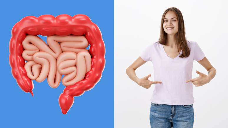 Enzimas digestivas: as proteínas aliadas à boa digestão
