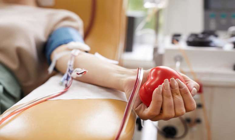 Dia do Doador de Sangue: saiba quais os requisitos para doar sangue -