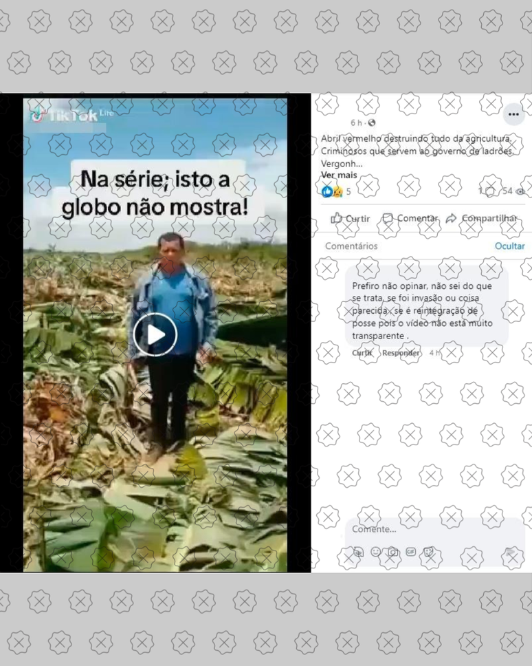 Vídeo de 2019 que mostra produção agrícola destruída circula como se fosse recente