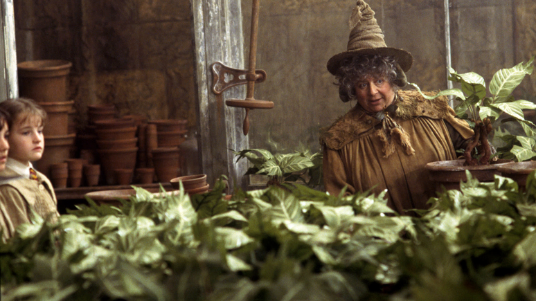 Miriam Margolyes como Pomona Sprout em cena de Harry Potter e a Câmara Secreta.