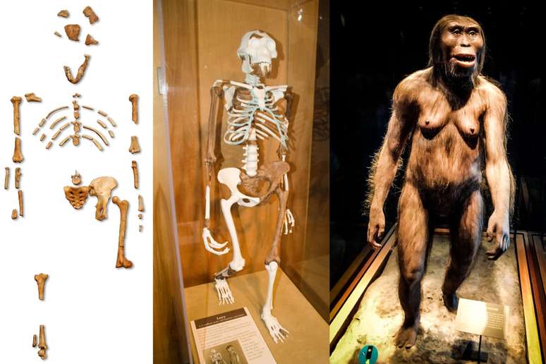 Reprodução de "Lucy" no Museu Nacional de Antropologia do México