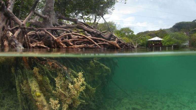 Atividades sustentáveis ajudaram países a reduzir pobreza e desemprego