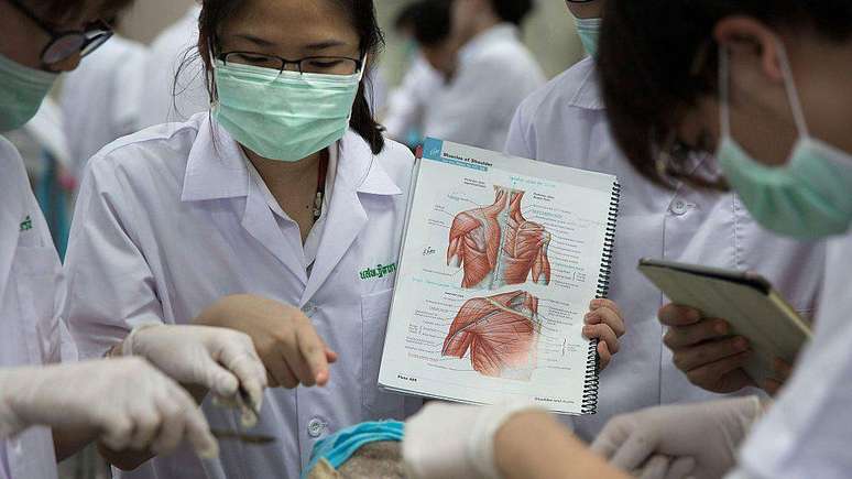 Corpses are very important to the study of medicine Corpses are very important to the study of medicine