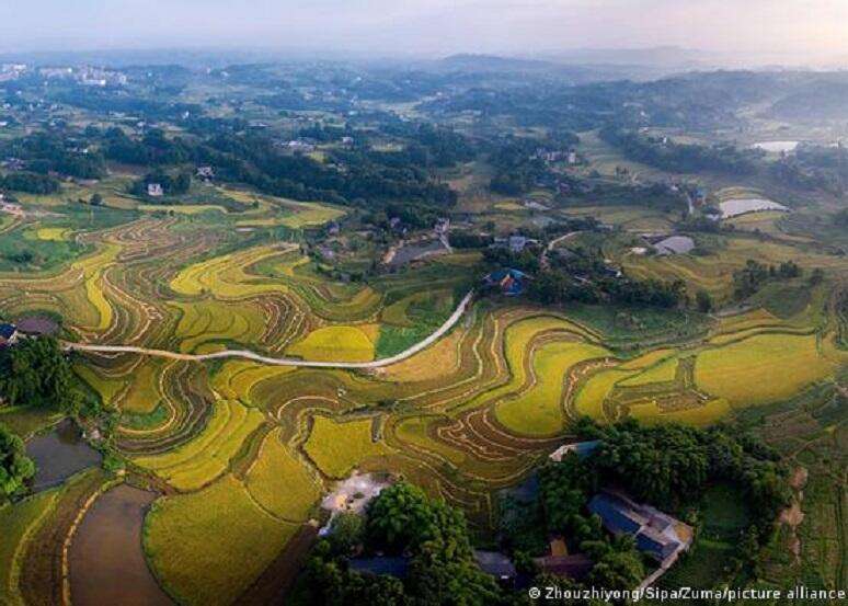 Genetically modified foods: sustainable path?