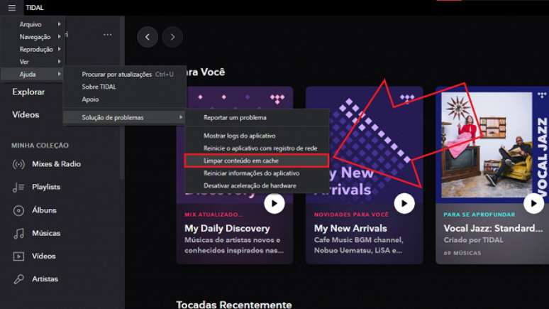 Passo 4 de: Como limpar o cache do Tidal desktop em PC Windows