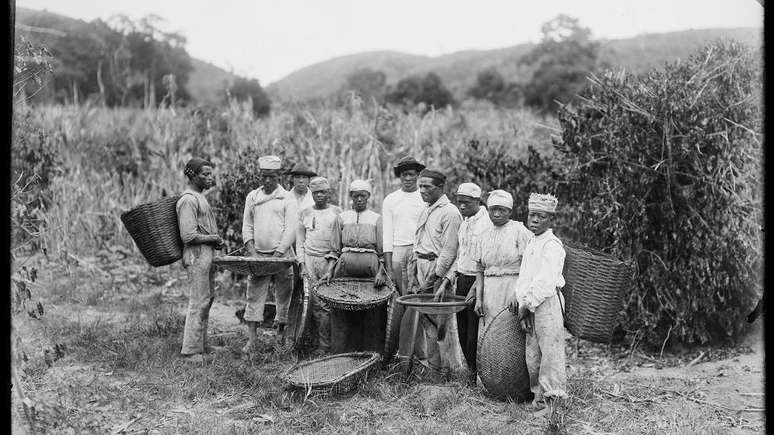 O café brasileiro era competitivo por conta de sua mão-de-obra escravizada, segundo historiador Bruno Lima. Imagem de Marc Ferrez, de 1882