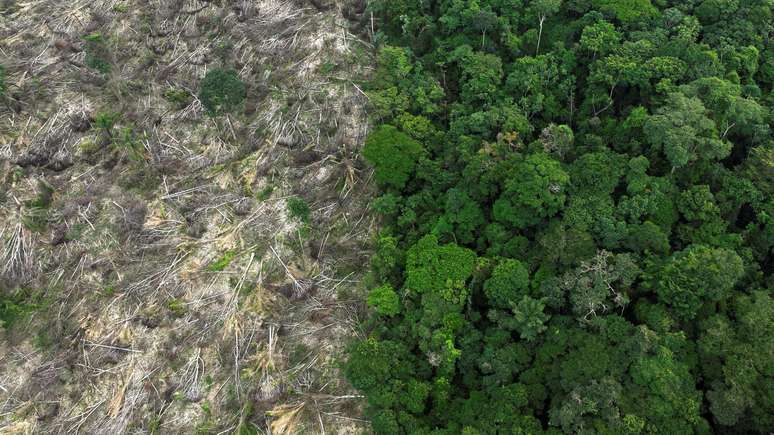 Desmatamento na Amazônia é um dos temas que impedem ratificação do acordo