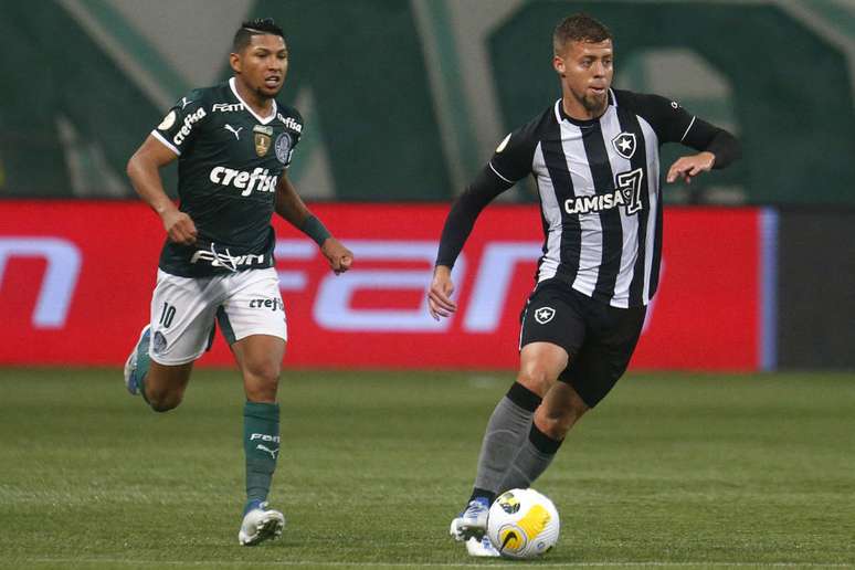 O Palmeiras sempre quis o campeonato que o Botafogo jogou fora - NSC Total