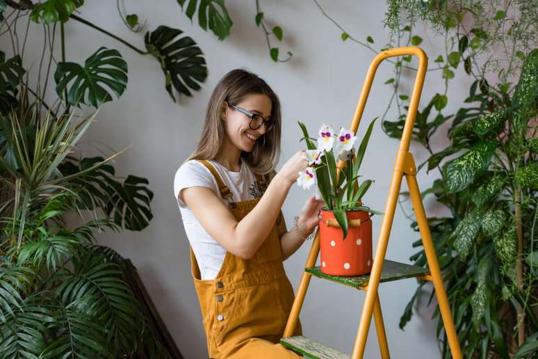 No inverno, as plantas crescem mais devagar