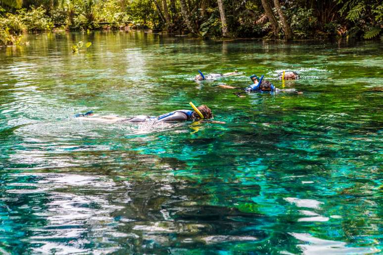 Nascente Azul tem &aacute;guas calmas e cristalinas 