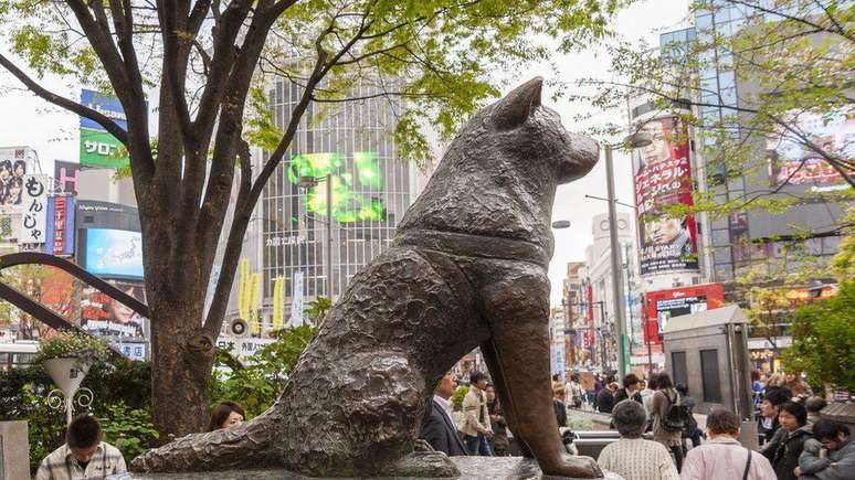 A est&aacute;tua de Hachiko do lado de fora da esta&ccedil;&atilde;o de Shibuya, em T&oacute;quio