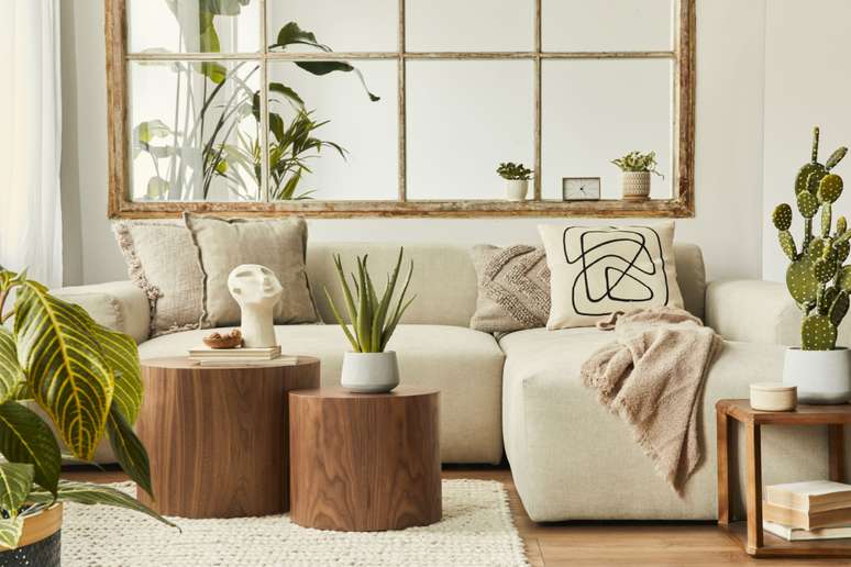Plants that require less care are a good option for the cold season 