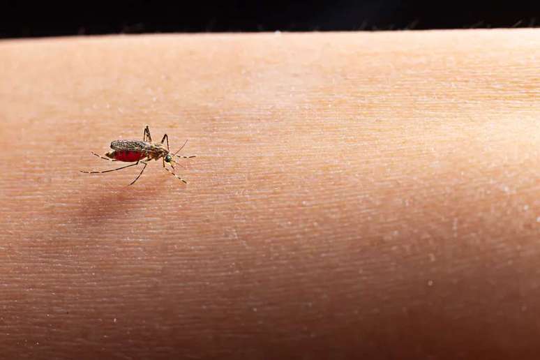 The spray can eliminate mosquitoes from the air (Image: jcomp/Freepik) The spray can eliminate mosquitoes from the air (Image: jcomp/Freepik)