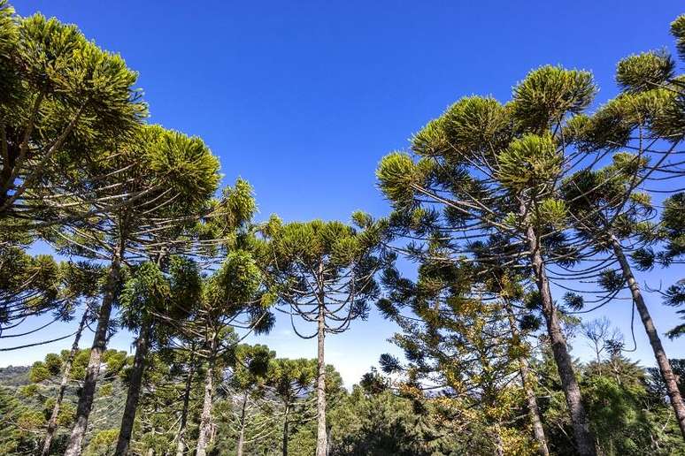 Dry and sunny day in most of Brazil