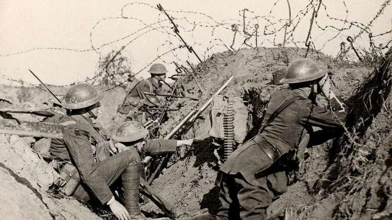 Primeiro estudo com terapia larval foi feito a partir do caso de soldados feridos na trincheira da Primeira Guerra Mundial