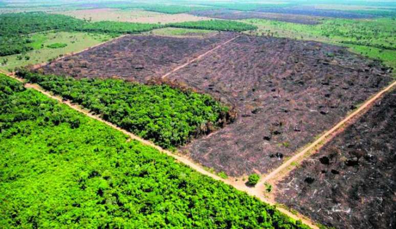 Redução do desmatamento na Amazônia é chave para reduzir aquecimento global, segundo cientistas