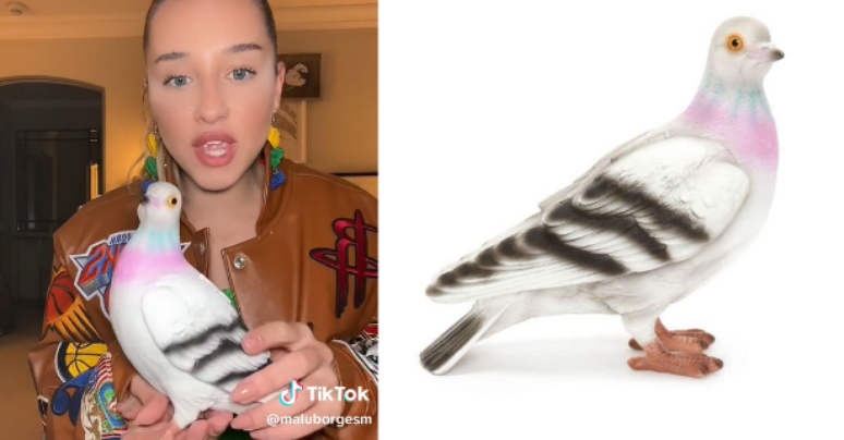 Influenciadora viraliza ao comprar bolsa de pombo de R$ 4 mil: "Comprou o Richarlison"