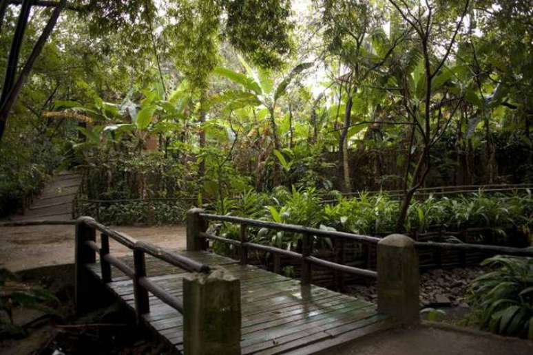 O Parque Severo Gomes, para quem gosta de caminhar e relaxar