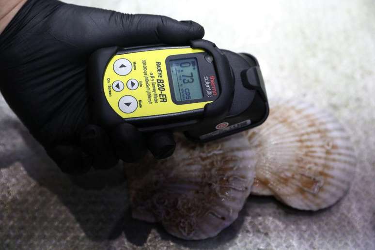 A OIEA avaliou que o plano japon&ecirc;s &eacute; seguro e que os n&iacute;veis de radia&ccedil;&atilde;o que seriam liberados s&atilde;o 'insignificantes'; o Greenpeace discorda