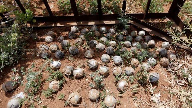 Muitas submunições não explodem imediatamente e criam uma espécie de 'campo minado'