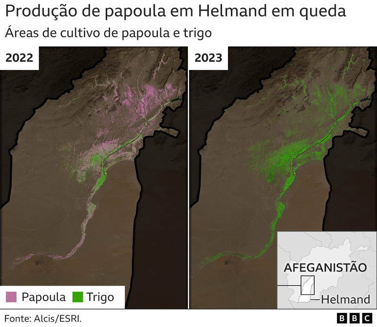 Imagens mostram queda da produção de papoula em Helmand entre 2022 e 2023