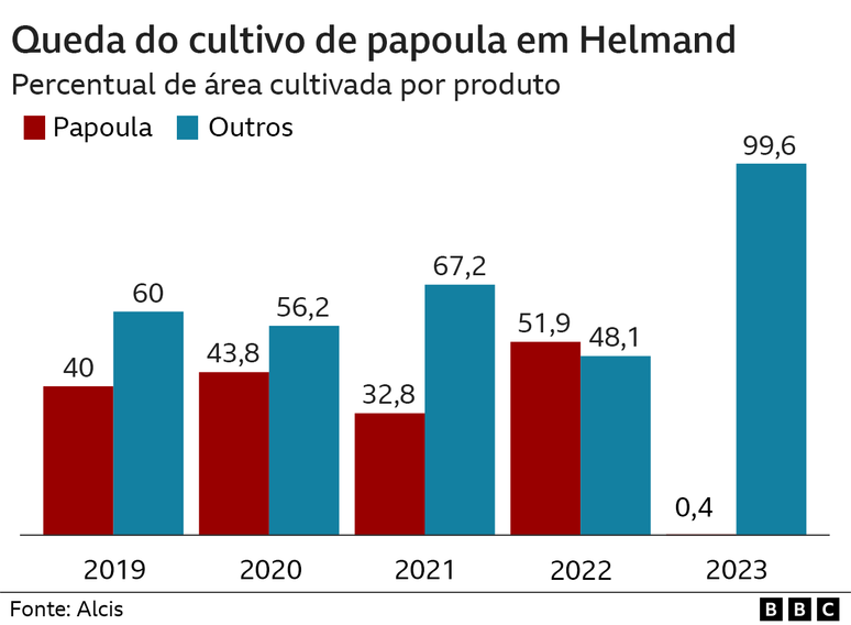 Gráfico mostra queda do cultivo de papoula em Helmand de 2019 a 2023