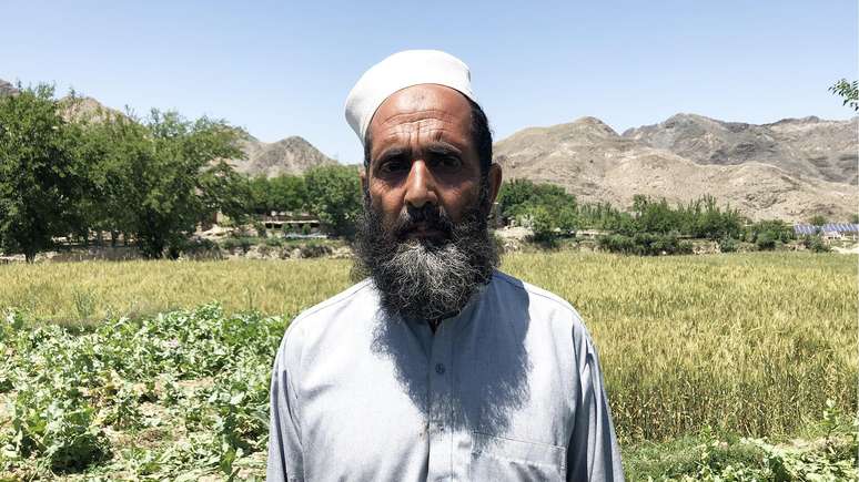 A proibição do cultivo de papoula força os produtores, como Ali Mohammed Mia, a cultivar produtos mais baratos, como o trigo