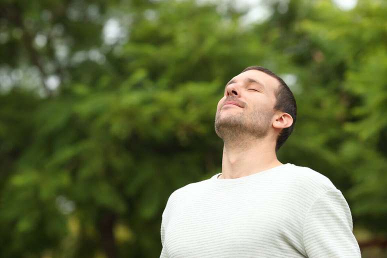 Contact with nature helps improve brain health 