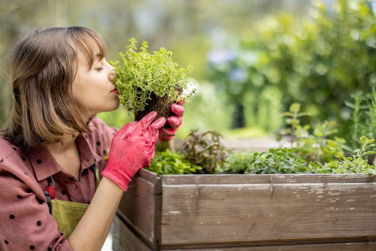 Para criar qualquer espaço ajardinado, analise se o ambiente está propício para receber as plantas