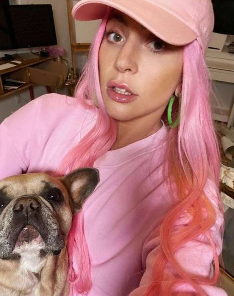 Lady Gaga na companhia de um de seus buldogues franceses. Os filhotes dos cães são roubados para revenda ou procriação