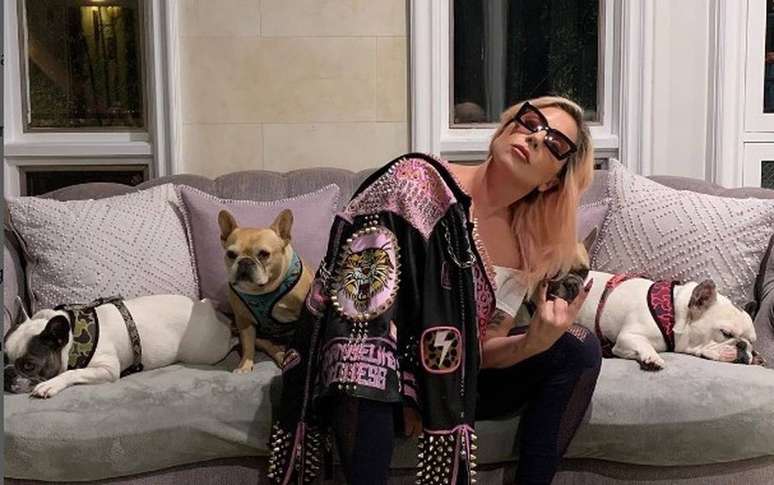 Lady Gaga ganha processo movido por mulher que pedia recompensa mas estava envolvida no roubo de seus cães